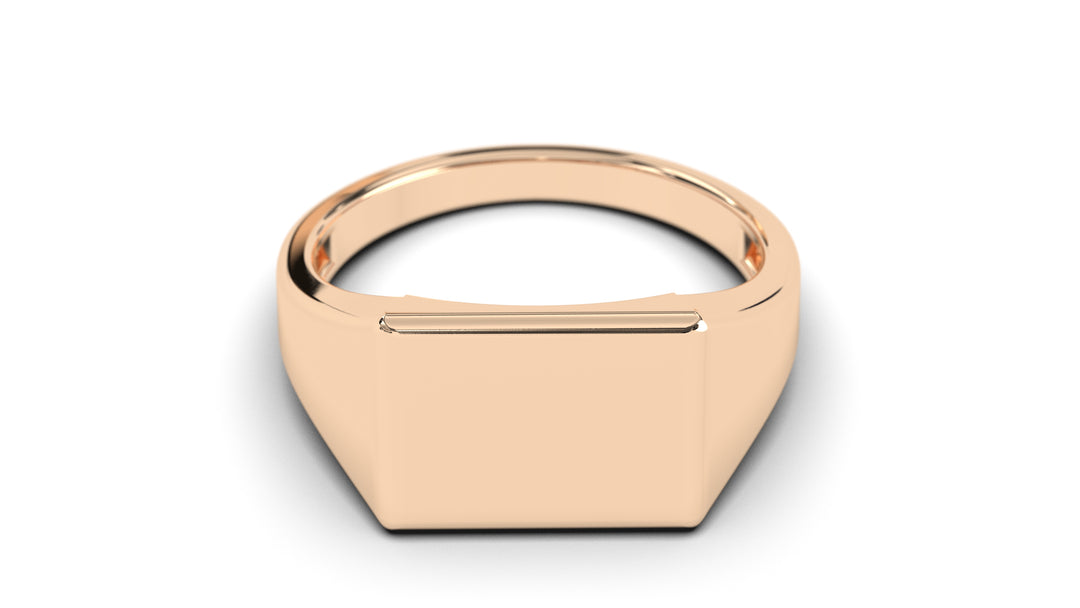 Octagon Signet Ring | Purity Forms I