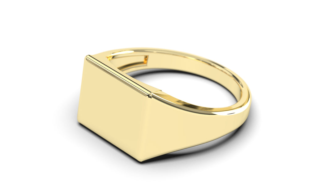 Octagon Signet Ring | Purity Forms I