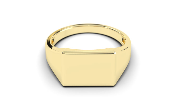Octagon Signet Ring | Purity Forms I